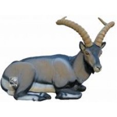 SRT Cabra Montès Bedded Ibex: ST77